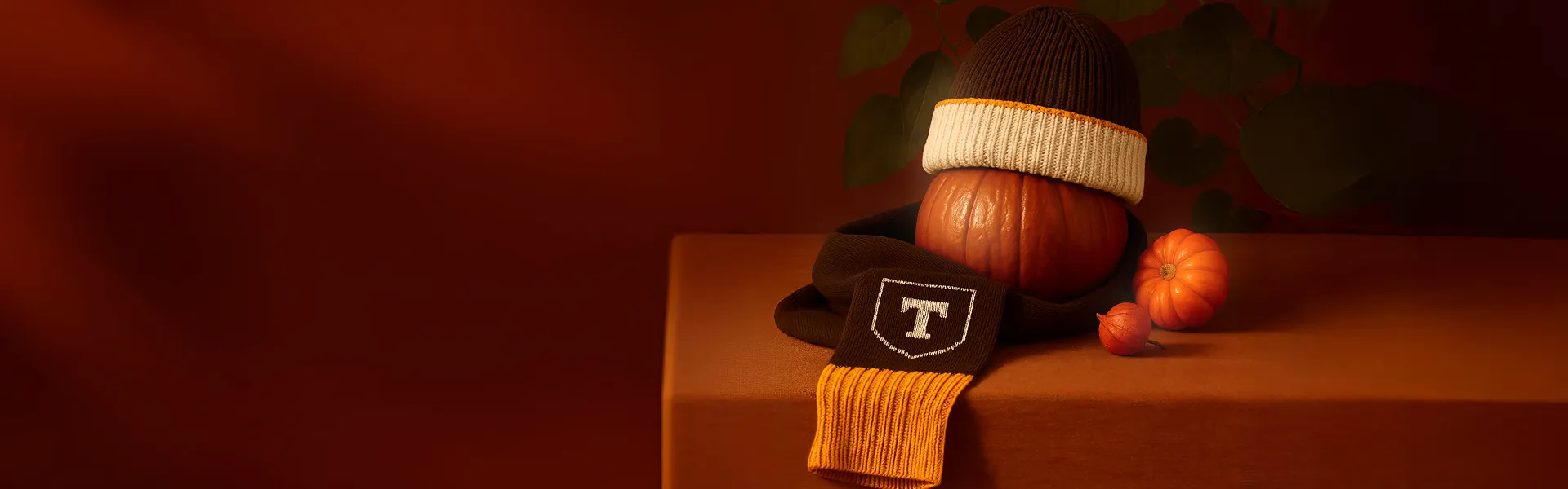 Теплая история